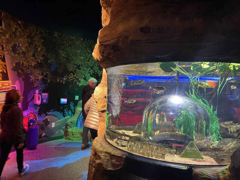 Explore The Sunken Shipwreck