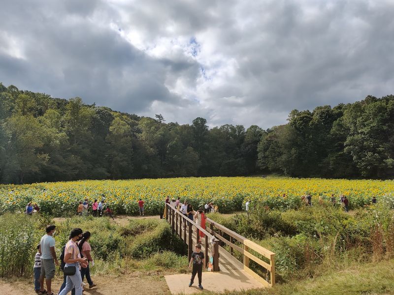 How To Find The Fields And Build A Day Around Them