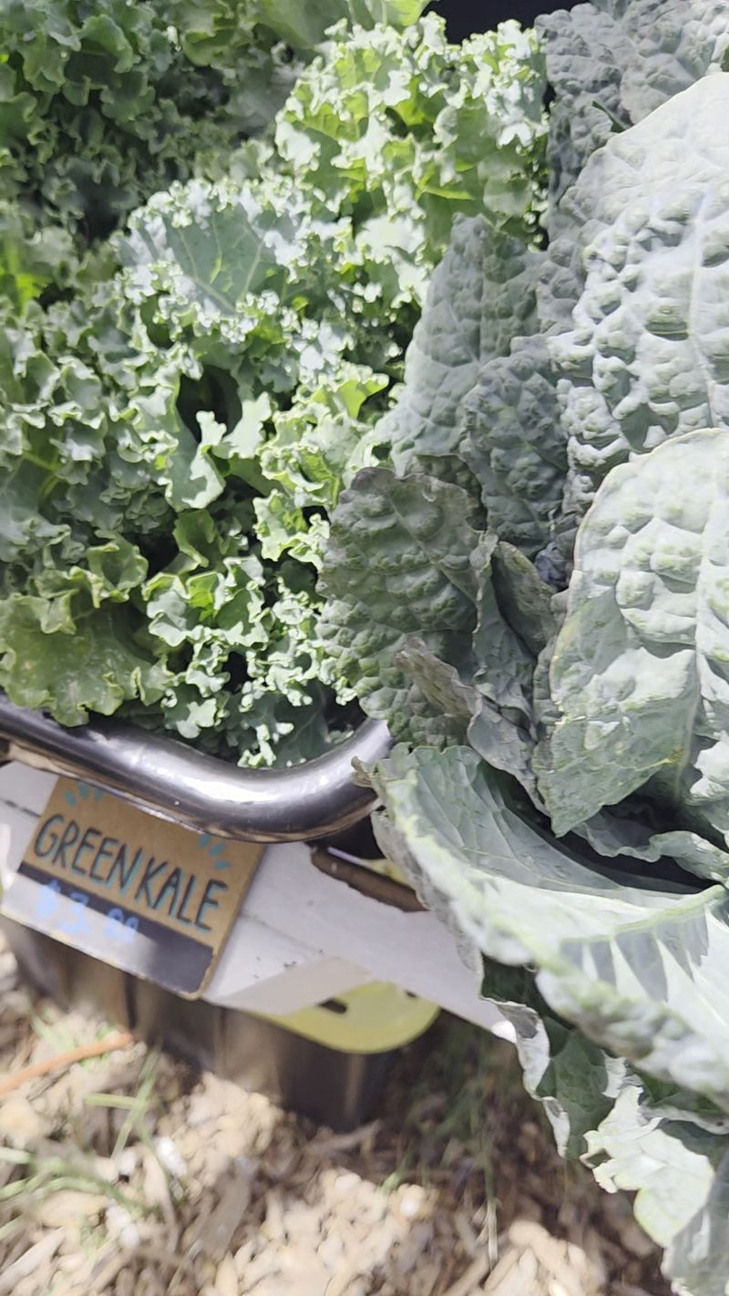 Produce Picked Hours Before You Buy It