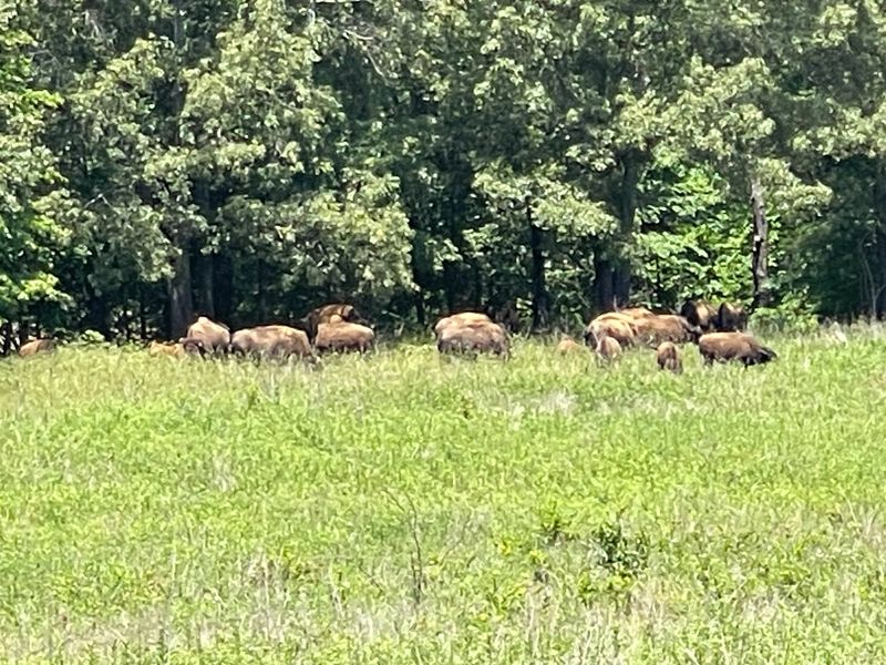 Wildlife Refuges Protect the Shoreline