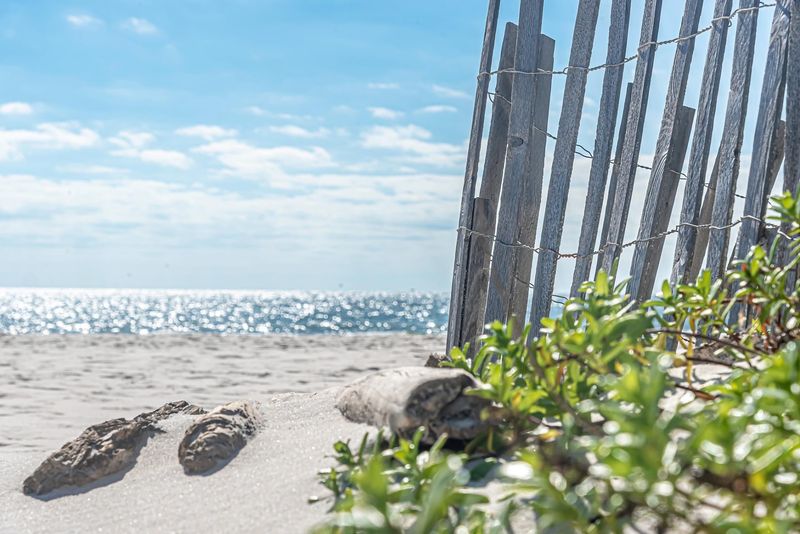 Simple Rules That Keep This Beach Special