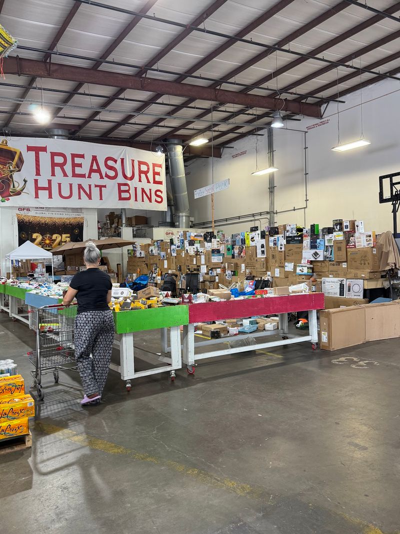 Treasure Hunt Bins Plant City