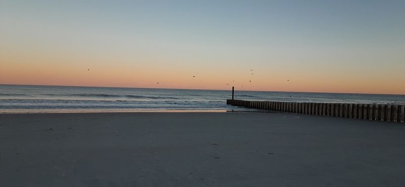 Garden City Beach