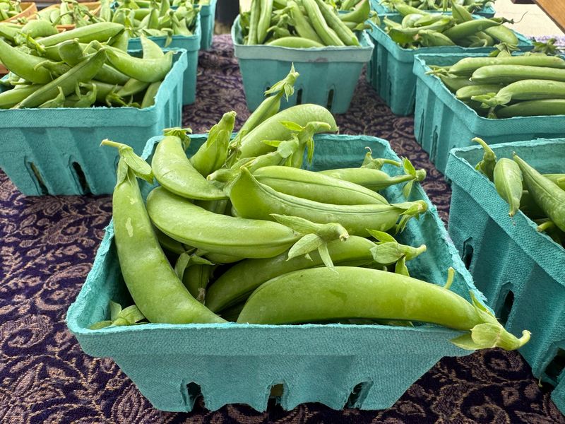 Exclusive Midweek Market Specials