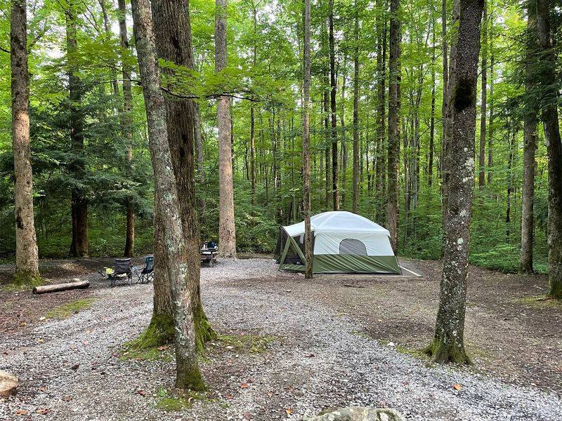 Cosby Campground, Cosby