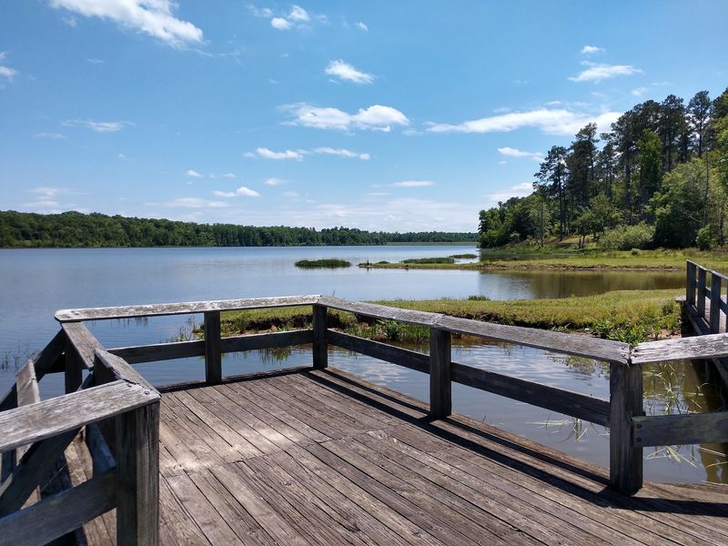 Fishing A Lake That Was Built To Produce