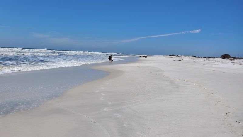 Ecological Impact On Coastal Preservation