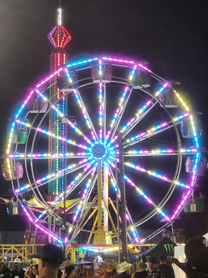 Carnival Rides And Cotton Candy Chaos