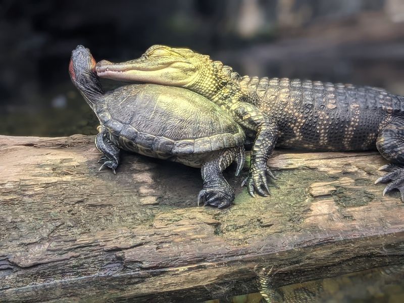 The Swamp Greenhouse After Hours Is Something Else
