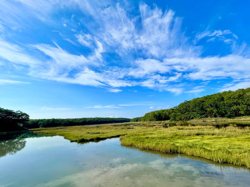 Trails That Go Well Beyond The Sand
