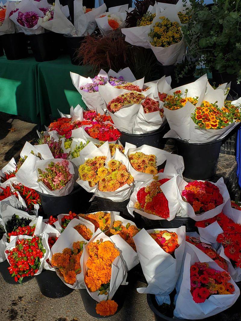 Rhinebeck Farmers' Market