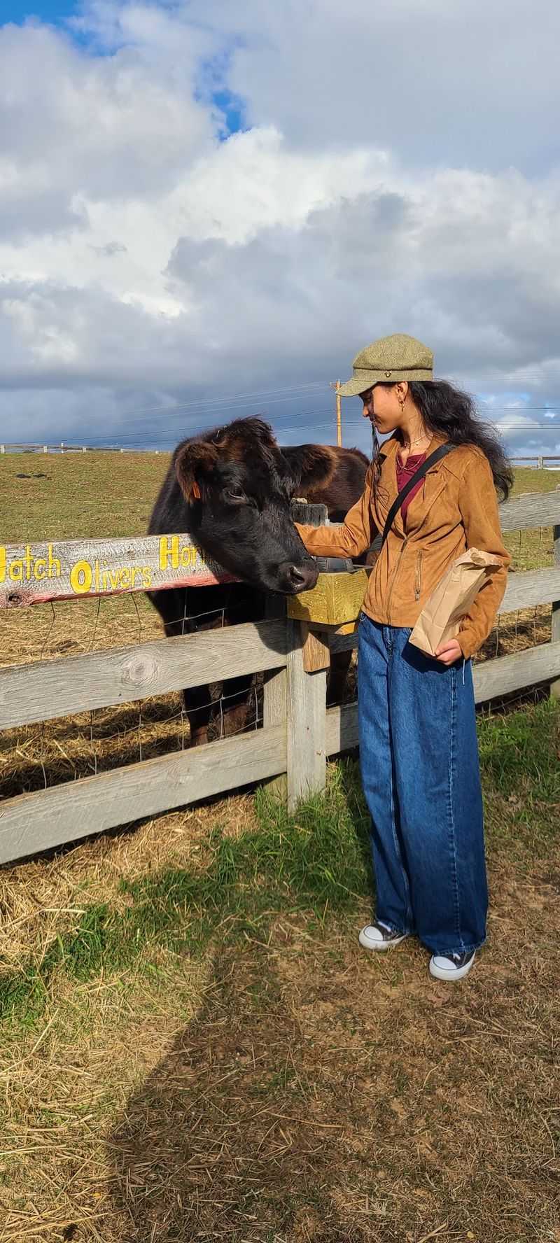 Seven Cows, Two Of Them Blind, All Of Them Confident