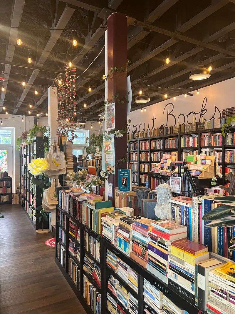 Papercut Books, Wilmington