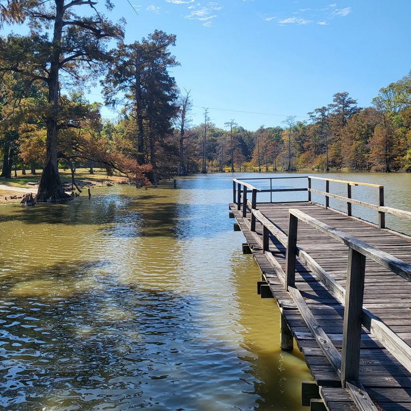 Leroy Percy State Park, Where Mississippi's Park System Began
