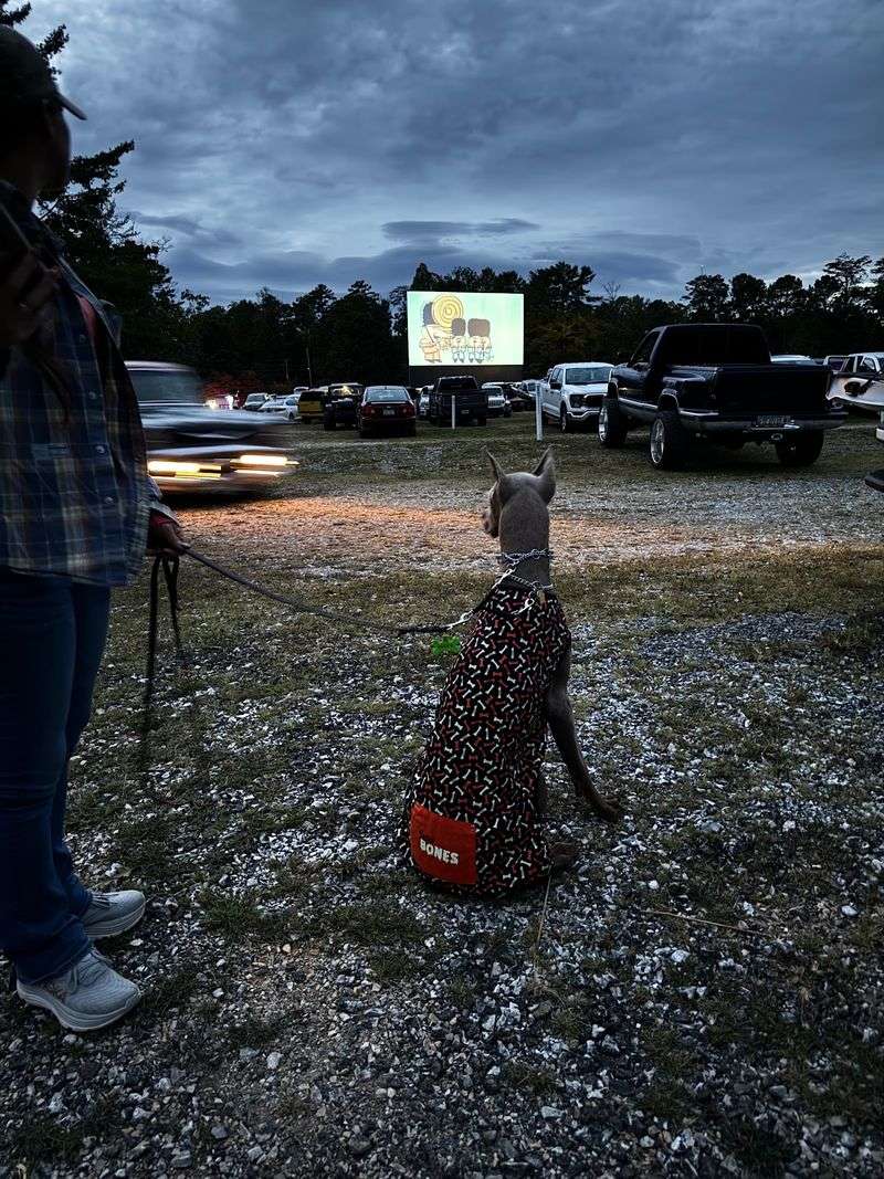 Rain Or Shine, Movies Play