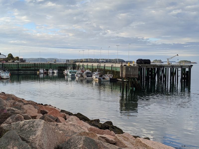 Old Sow and The Tidal Power That Shapes Everything