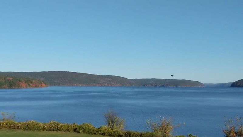 Enfield Lookout, The Best Seat For Wildlife Watching