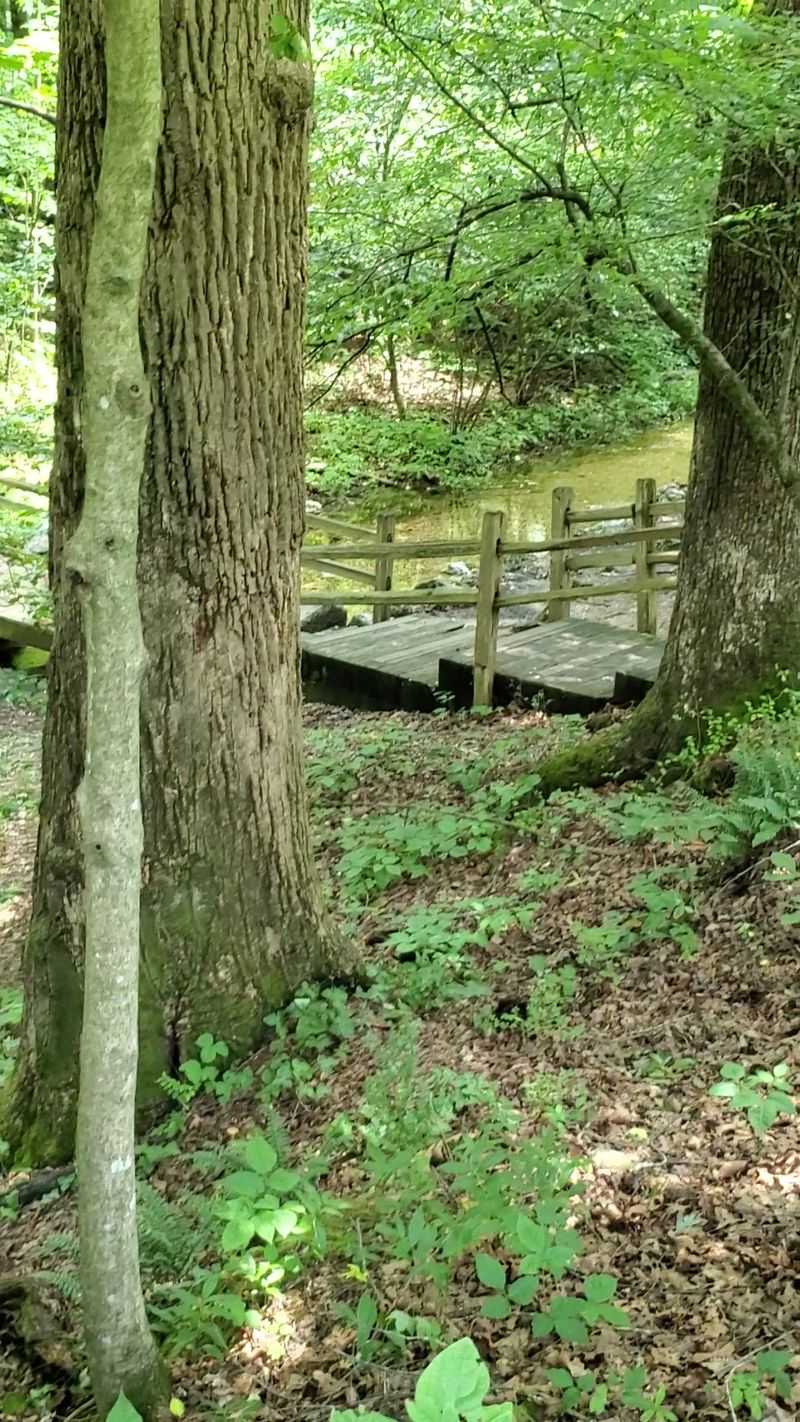 Creekside Paths Where Water Runs Beside Your Boots