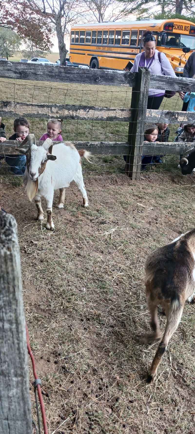 Field Trips That Beat Any Textbook Chapter