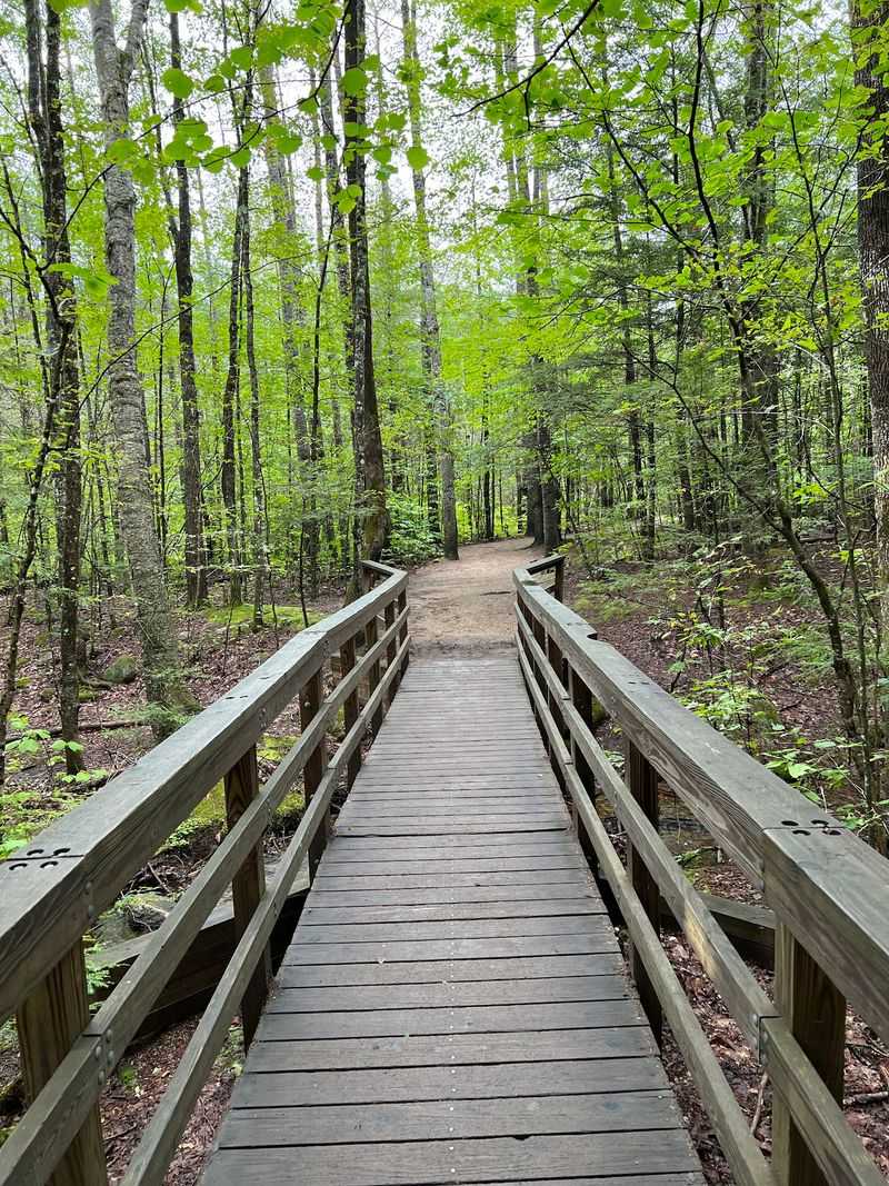 The Trail That Almost Anyone Can Handle