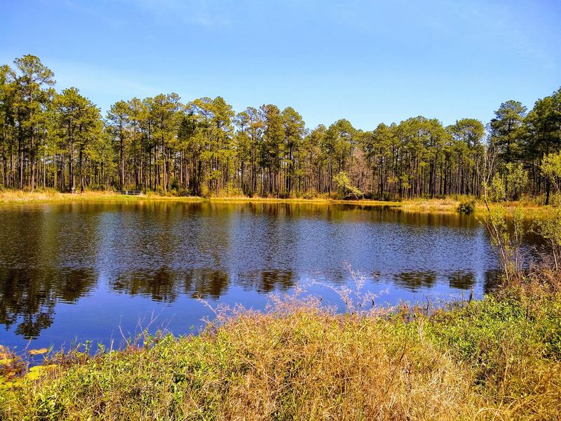 Making The Most Of Your Bell Creek Visit