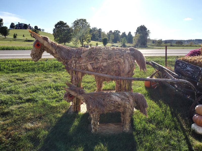 History Of Amish Settlements In Ohio