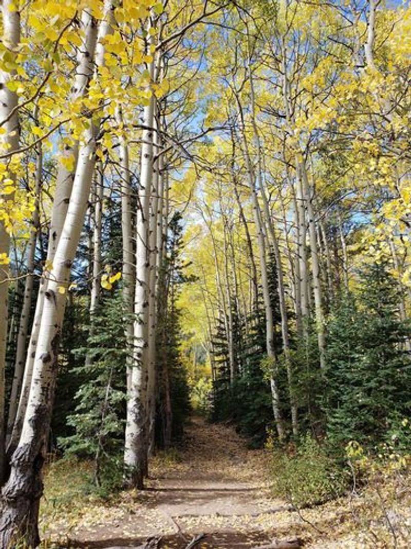 Fall Colors That Rival Any Season