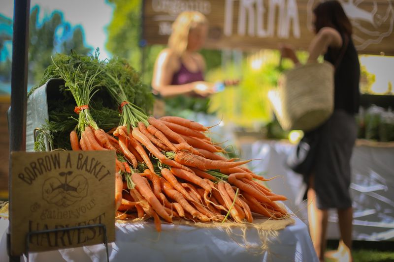 A Nonprofit With Real Community Impact