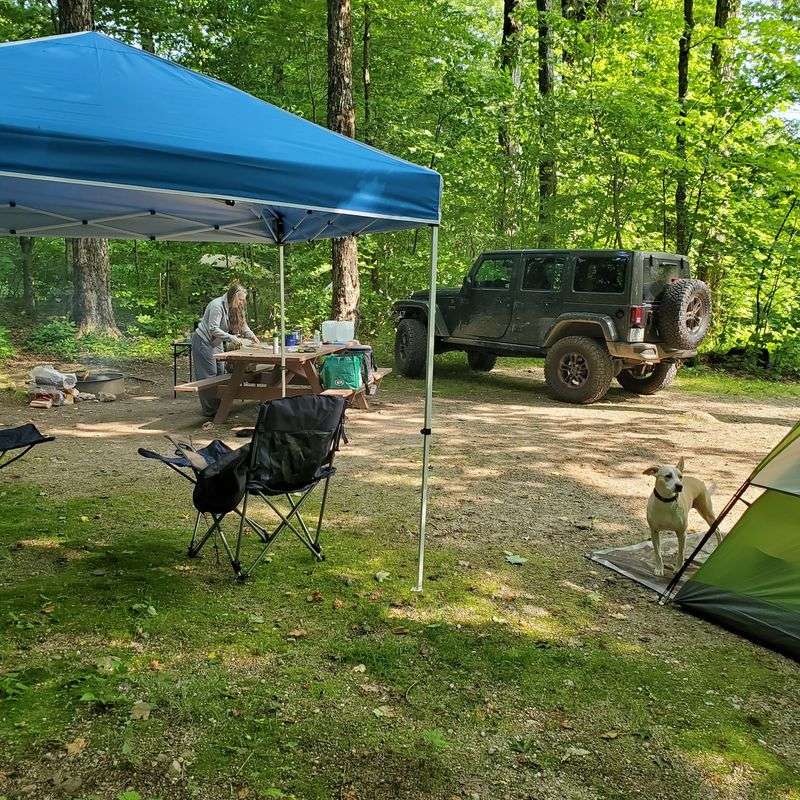Savoy Mountain State Forest, Where Camping Feels Remote