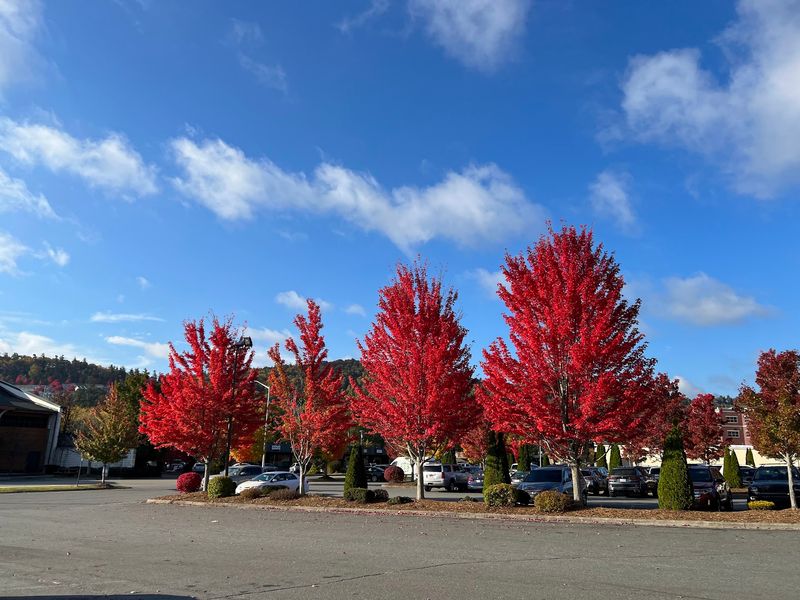 Four Seasons, Four Very Different Experiences