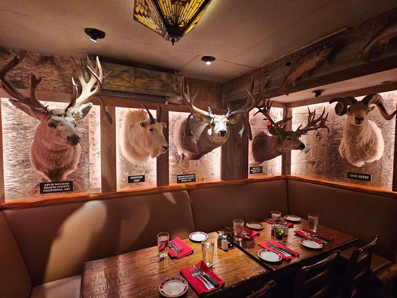 Taxidermy, Canoes, And Walls Worth Studying