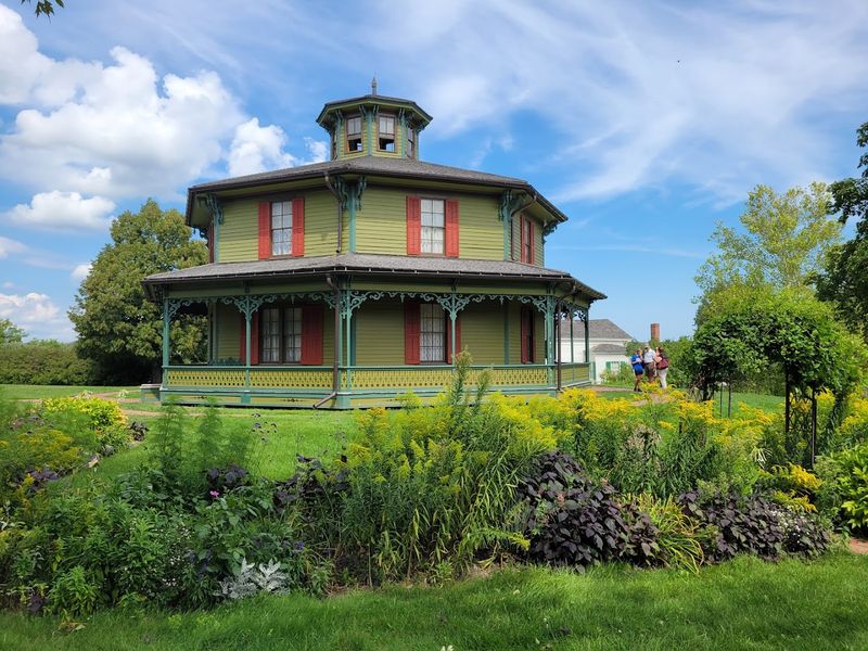 Heirloom Gardens And The Art Of Slow Looking