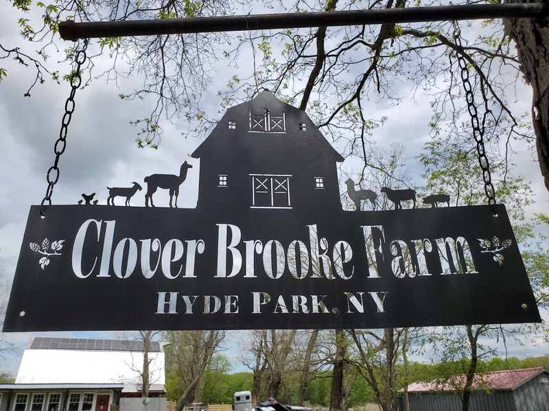Clover Brooke Farm And The Address You Will Want To Save Right Now