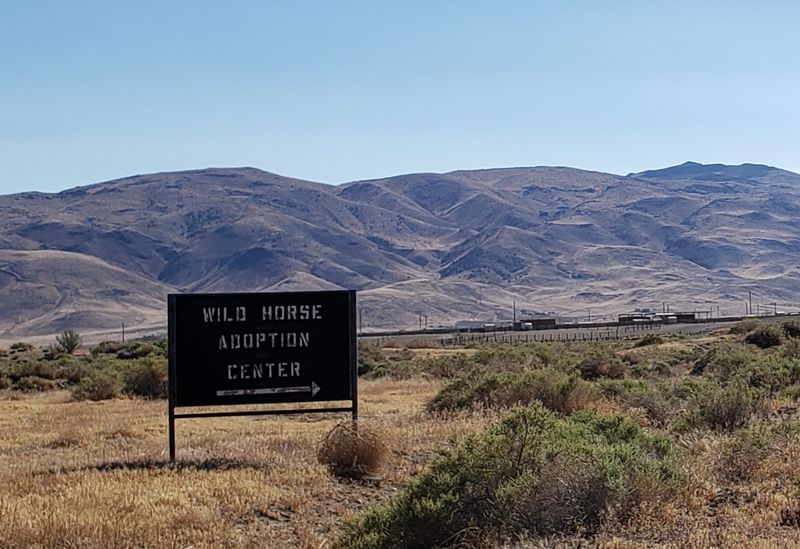 Finding Your Way To Palomino Valley