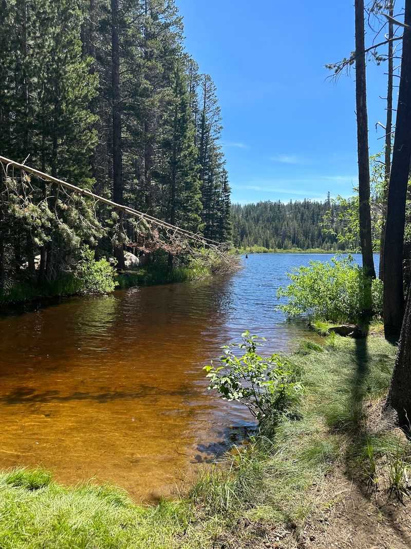 Trout Water With Strict Rules