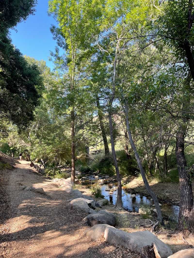 Trails That Suit Beginners And Regular Hikers Alike