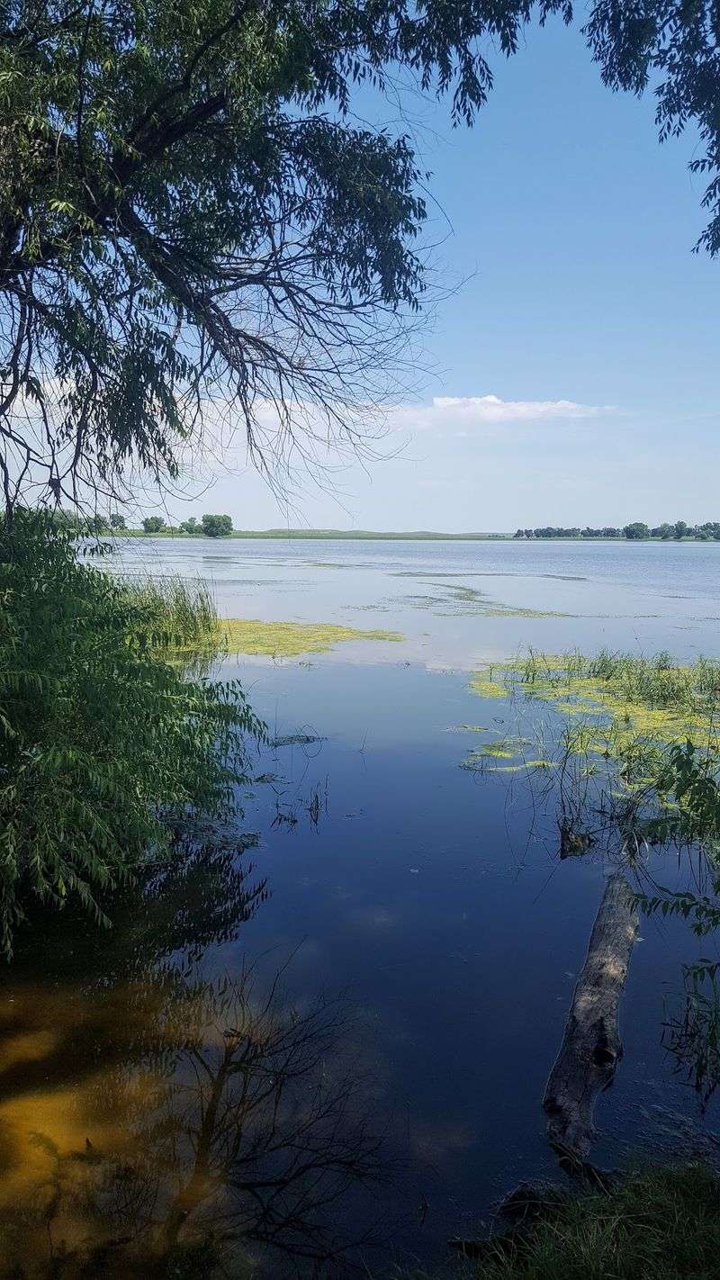 Unique Wildlife Viewing Opportunities At The Remote Lake