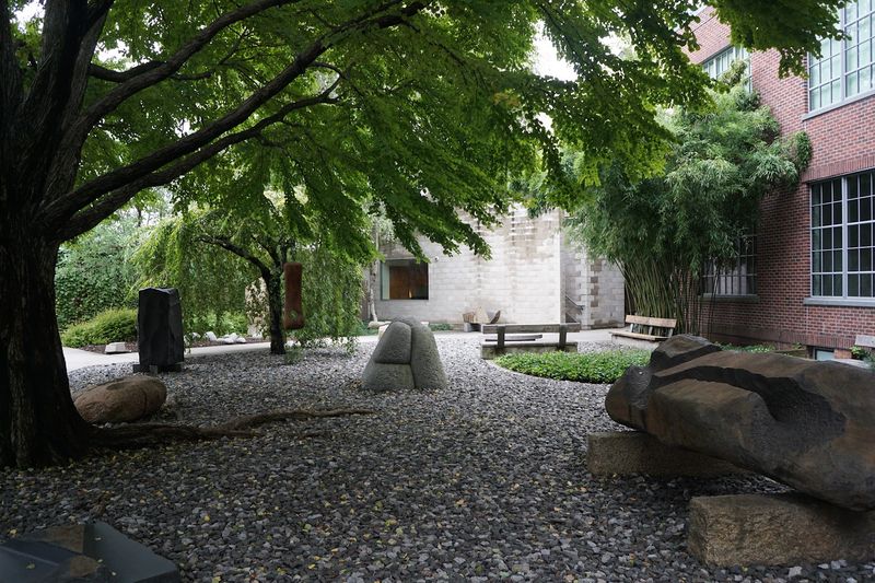 The Garden That Slows Time Down