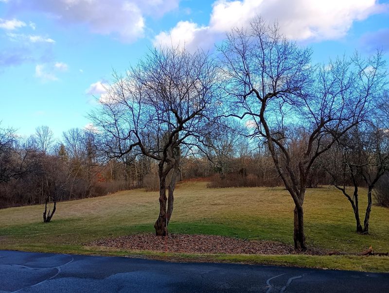 Brook Farm Ruins, West Roxbury