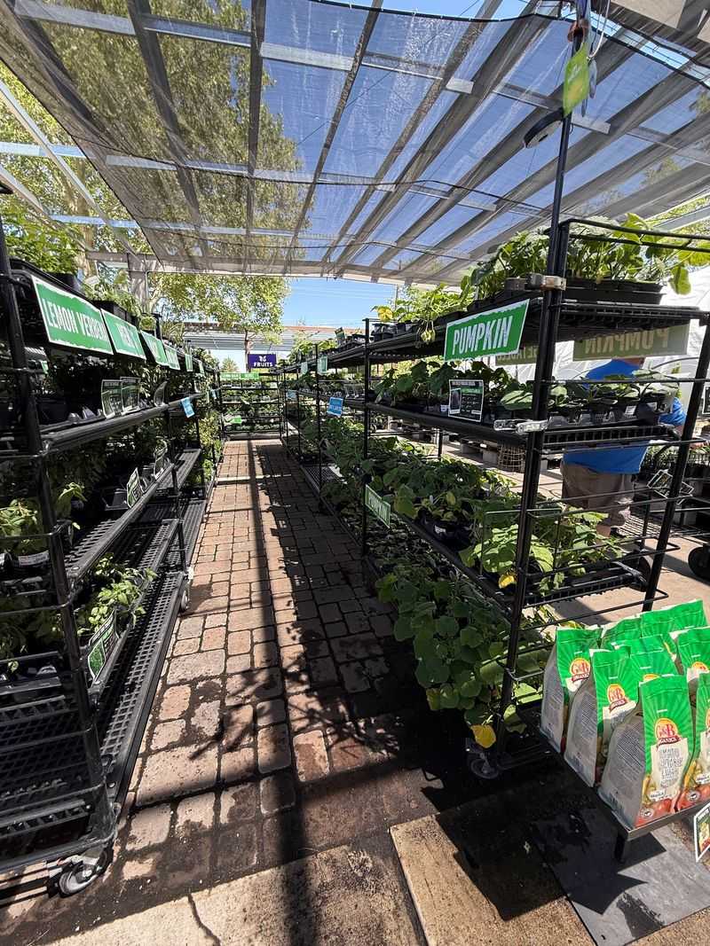 Drought-Tolerant Plants That Cut Your Water Bill