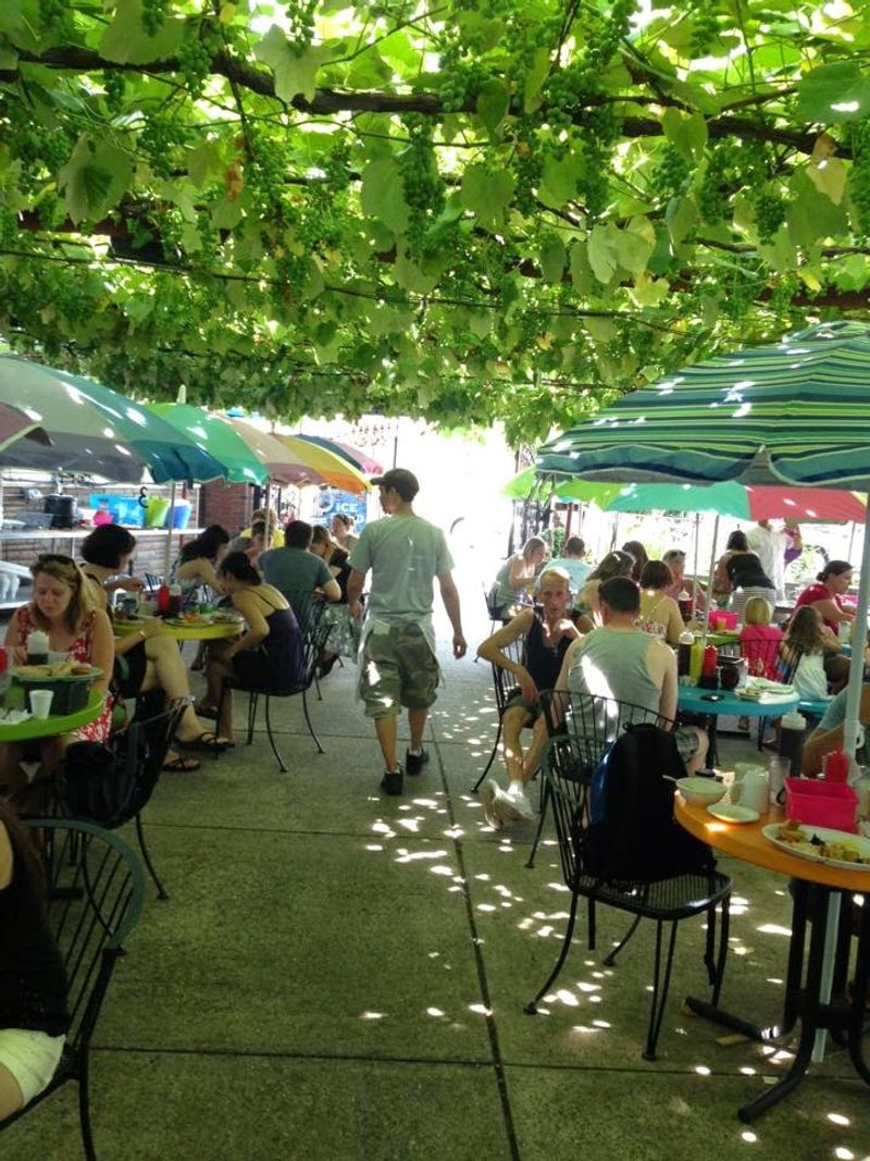 Grapevines Overhead On The Patio