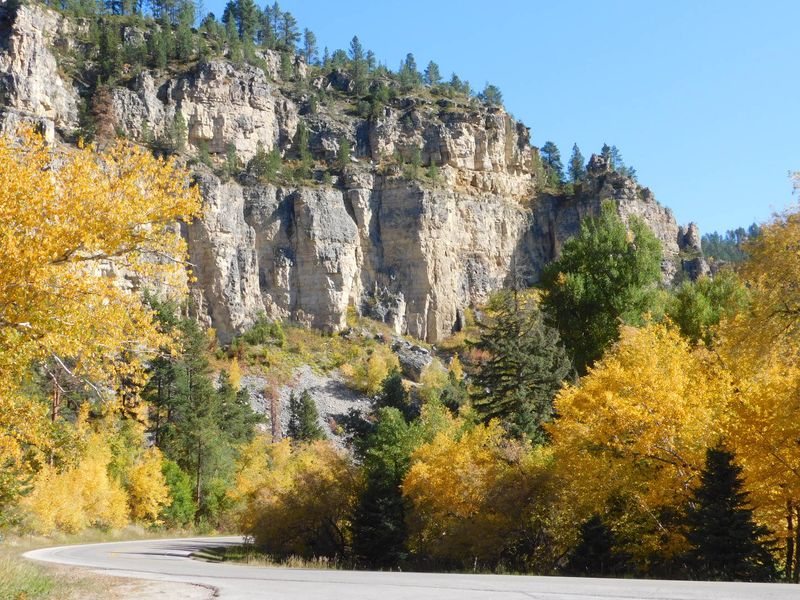 Limestone Walls And A Canyon Older Than You Think