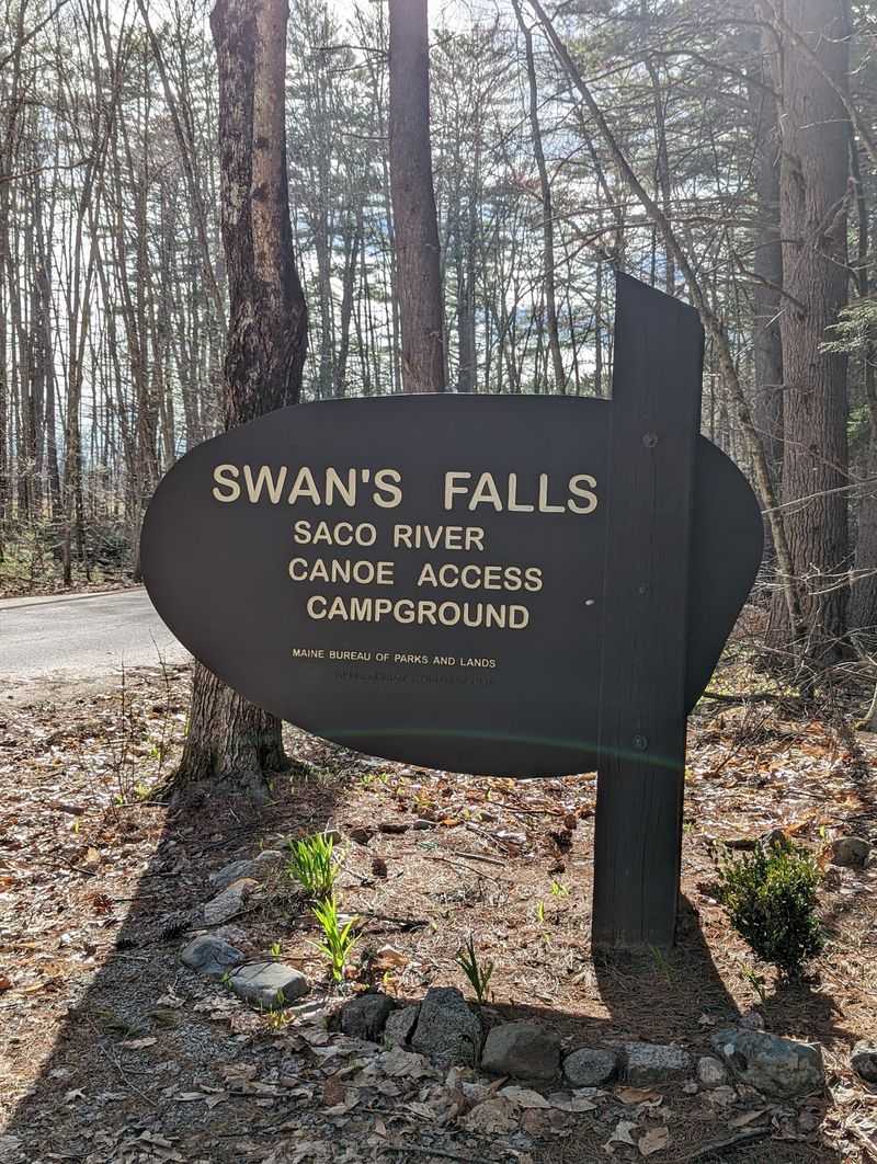 Swan's Falls As The Perfect Starting Point