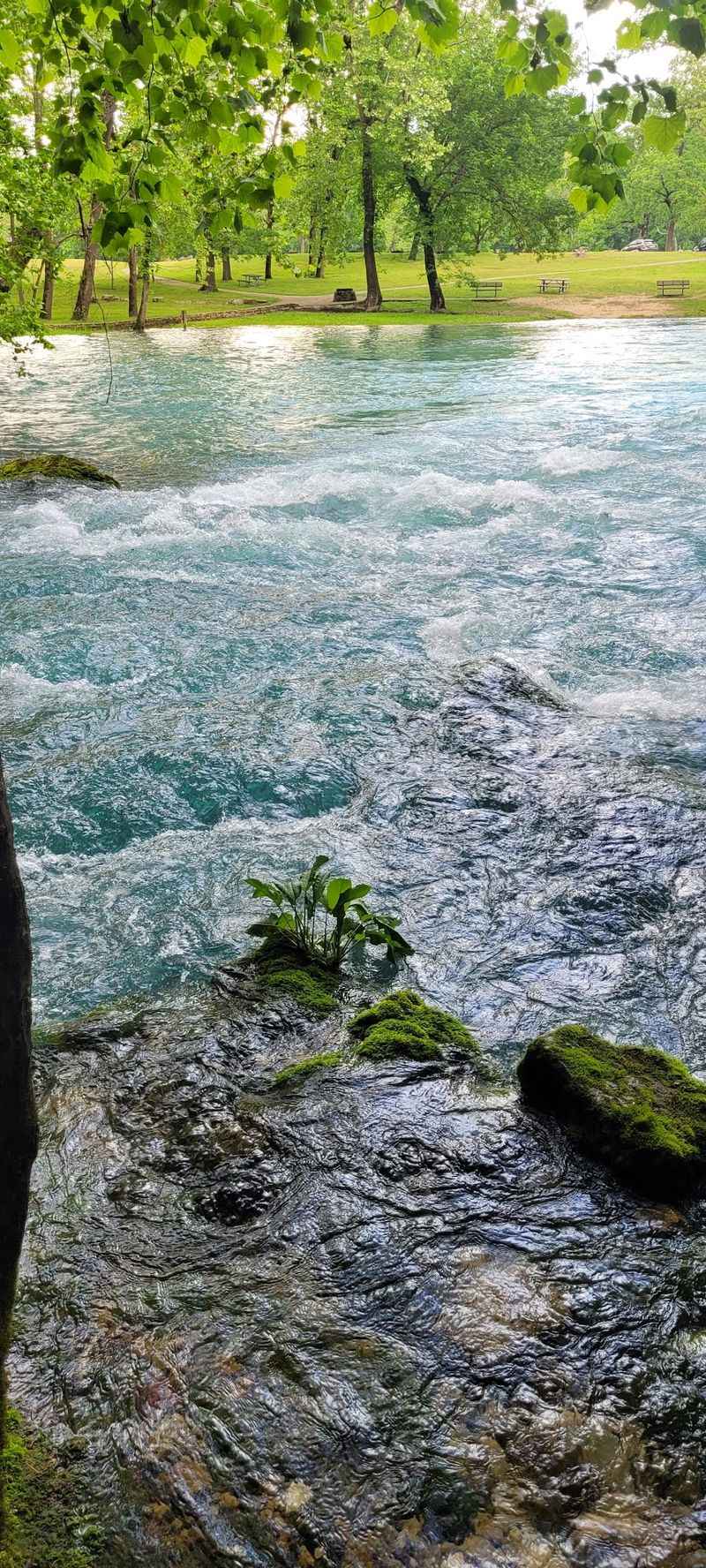 Why You Can Count Pebbles On The Bottom