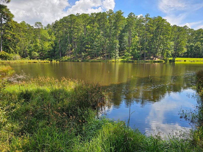 Recreational Options For Visitors To Remote Lakes