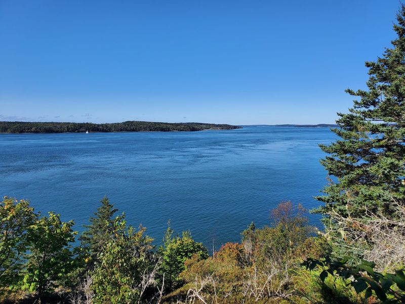 Whale Watching At A World-Class Level