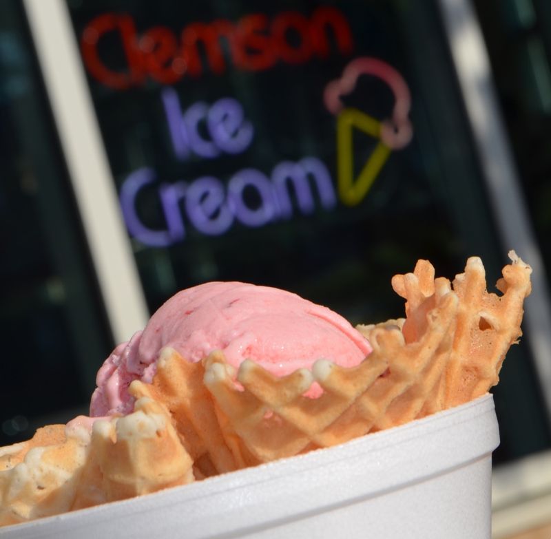 Students Made Your Ice Cream