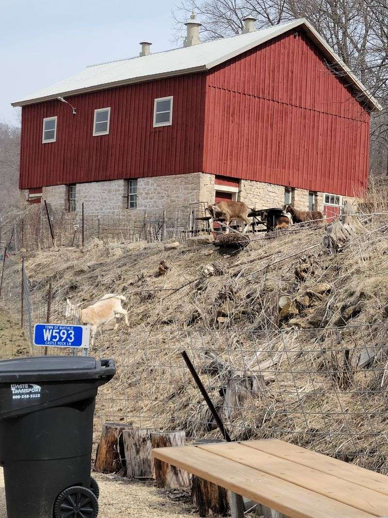 Finding The Red Barn Along The River Road