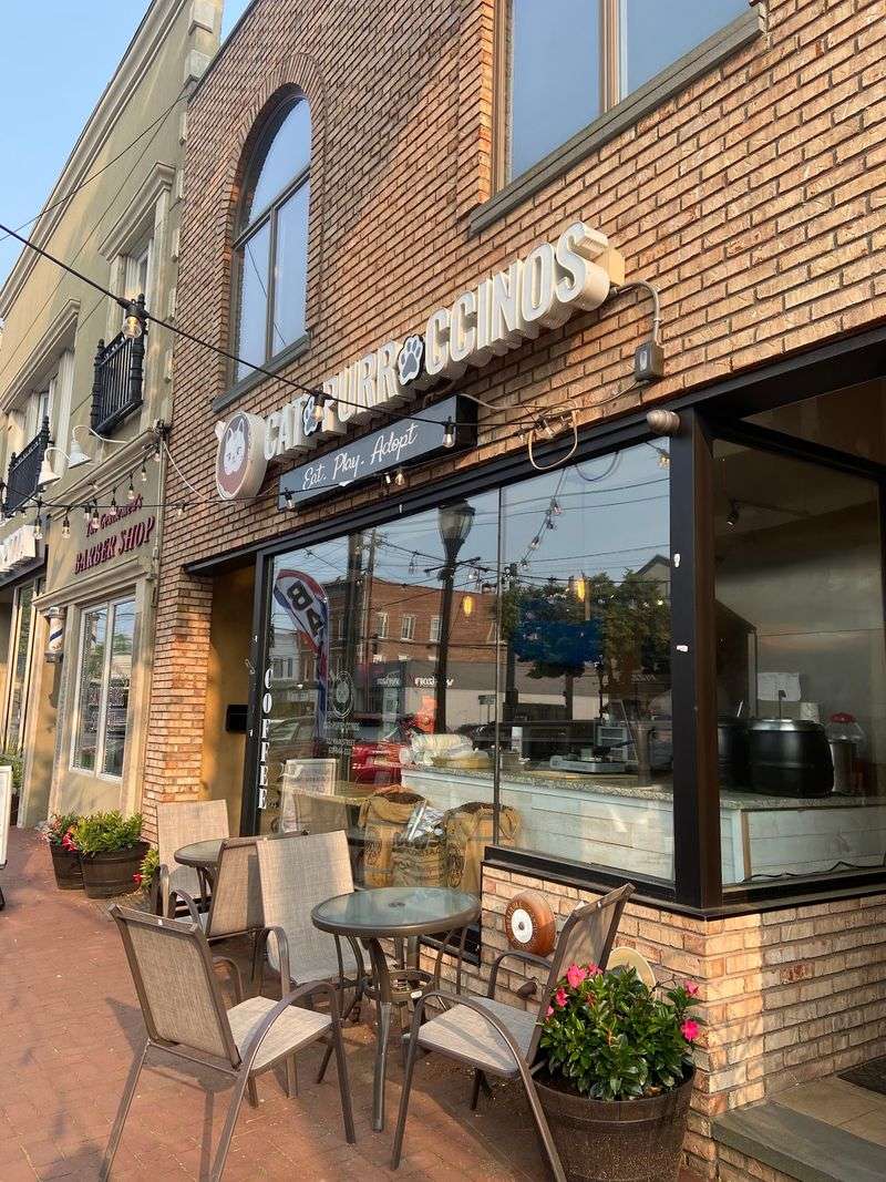 Catpurrccinos — 322 Main St, Huntington, NY 11743