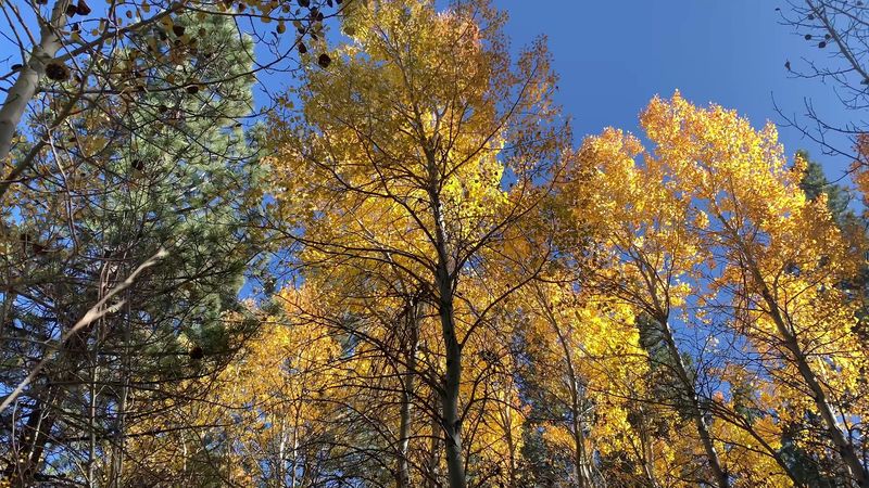 Dry Pond Loop Rewards A Steady Climb